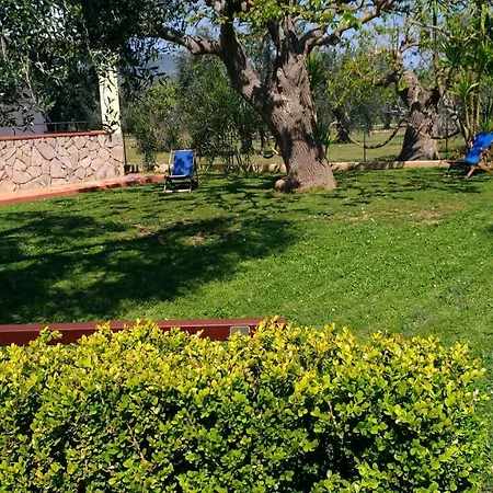 La Paloma *